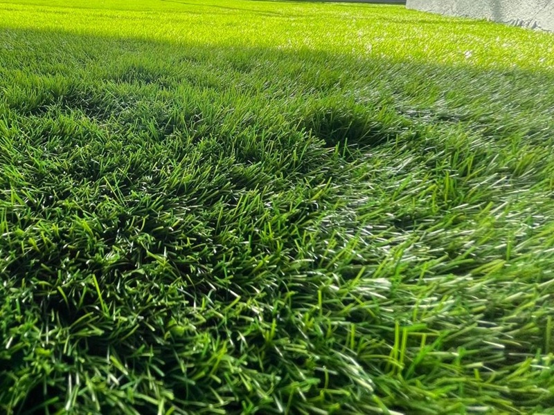 Dış Mekan Yapay Çim